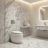 RAK CLOUD Rimless Wall Faced Toilet Pan with R&T Frameless Inwall Concealed Cistern Push Button - Variant Colour