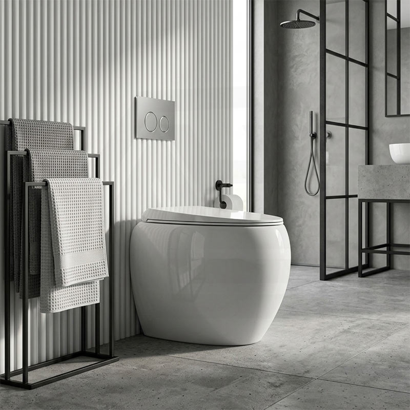 RAK CLOUD Rimless Wall Faced Toilet Pan with R&T Frameless Inwall Concealed Cistern Push Button - Variant Colour