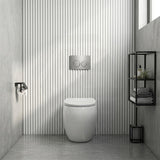 RAK CLOUD Rimless Wall Faced Toilet Pan with R&T Frameless Inwall Concealed Cistern Push Button - Variant Colour