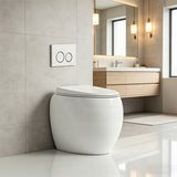 RAK CLOUD Rimless Wall Faced Toilet Pan with R&T Frameless Inwall Concealed Cistern Push Button - Variant Colour