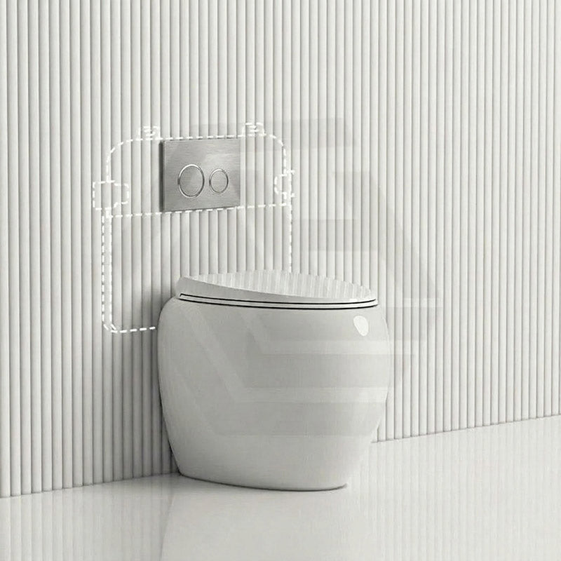 RAK CLOUD Rimless Wall Faced Toilet Pan with R&T Frameless Inwall Concealed Cistern Push Button - Variant Colour
