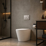R&T Frameless Inwall Concealed Cistern with Rimless Tornado Wall Faced Toilet Pan & Push Button 580x360x420mm - Gloss White