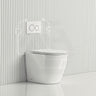 R&T Frameless Inwall Concealed Cistern with Tornado Rimless Wall Faced Toilet Pan with Push Button VORTEX Flushing 400x570x360mm