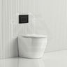 R&T Frameless Inwall Concealed Cistern with Tornado Rimless Wall Faced Toilet Pan with Push Button VORTEX Flushing 400x570x360mm