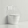 R&T Frameless Inwall Concealed Cistern with Tornado Rimless Wall Faced Toilet Pan with Push Button VORTEX Flushing 400x570x360mm