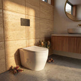 R&T Frameless Inwall Concealed Cistern with Tornado Rimless Wall Faced Toilet Pan with Push Button VORTEX Flushing 400x570x360mm
