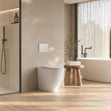 R&T Frameless Inwall Concealed Cistern with Tornado Rimless Wall Faced Toilet Pan with Push Button VORTEX Flushing 400x570x360mm