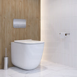 Metlam Lawson Single Toilet Roll Holder Polished Stainless Steel