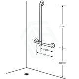 Assist Shower Grab Rail 660X1100mm Ambulant Accessories Special Needs Stainless Steel 304 Care