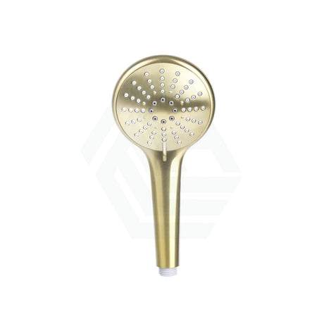Meir 3 Functions Round Hand Held Shower Abs Variant Colour Available Tiger Bronze Handheld Showers