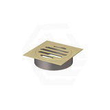 Meir Square Brass Floor Grate Shower Drain 80Mm Outlet Variant Colour Available Wastes