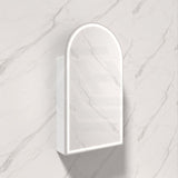 N#1(Nickel) 500X900Mm Canterbury Led Mirror Arch Shaving Cabinet Matt White Finish Brushed Nickel