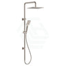 N#1(Nickel) Fienza Tono Brushed Nickel Twin Shower Top Water Inlet Showers