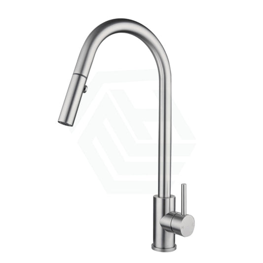 Xacta Xpressfit 304 Stainless Steel Satin Retractable Kitchen Mixer Swivel And Pull Out Sink Mixers