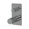 N#2(Nickel) Linkware Gabe Diverter Mixer Brushed Nickel Wall Mixers 