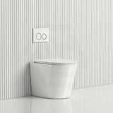 R&T Frameless Inwall Concealed Cistern with Rimless Tornado Wall Faced Toilet Pan with Push Button