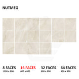 Capri Nutmeg Surface Tec Stone Look Beige 300/600/1200mm Tile