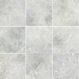 Cappuccino Marble Light Marble Look Soft Matt 300/600/1200mm Tile