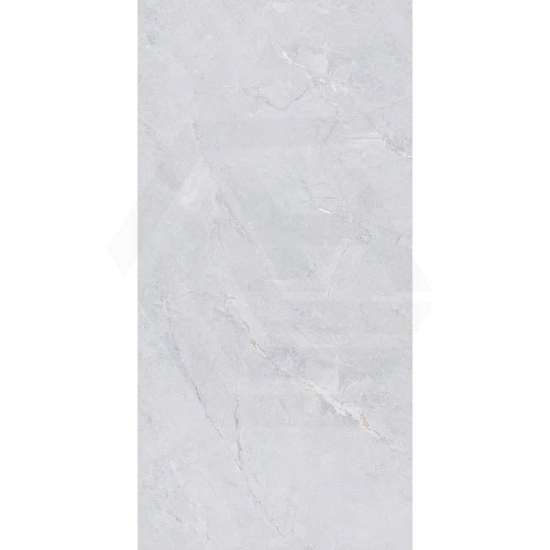 Cameo Light Grey Stone Look Matt 300/600mm Tile