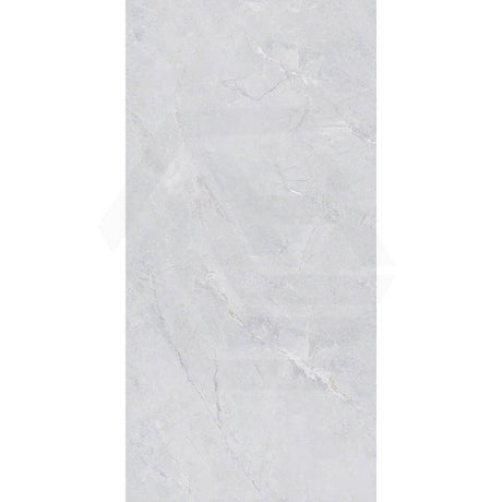 Cameo Light Grey Stone Look Polished 300/600/1200mm Tile