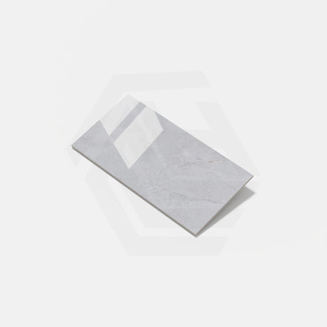 Cameo Light Grey Stone Look Polished 300/600/1200mm Tile