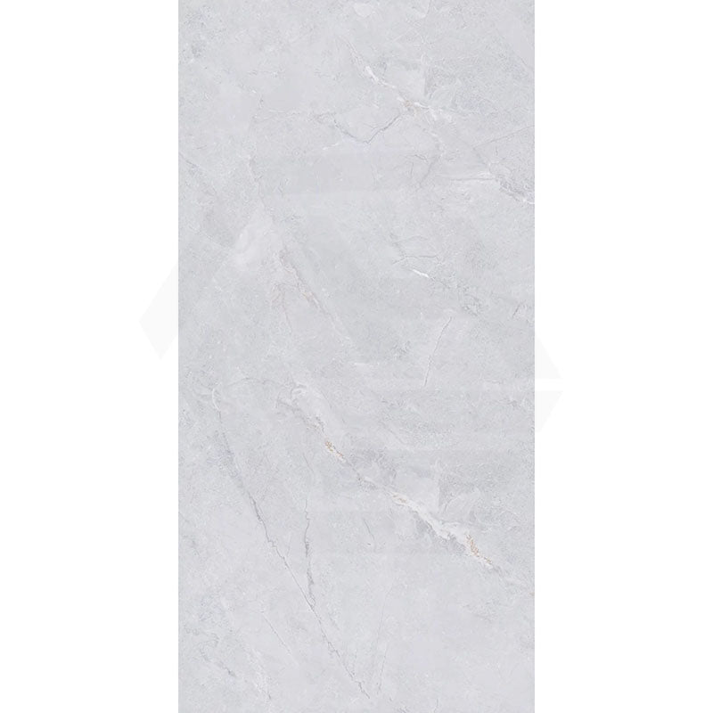 Cameo Light Grey Stone Look Soft Matt 600x1200mm Tile