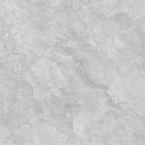 Art Stone Grey Stone Look In & Out 300/600/1200mm Tile