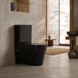 Avery Box Rim Back To Wall Toilet Suite Back/Left and Right Bottom Inlet 710x390x830mm - Gloss Black