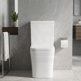 Qubist Box Rim Back To Wall Toilet Suite Back/Left and Right Bottom Inlet 665x380x845mm - Gloss White