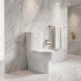 Pola Ceramic Box Rim Back To Wall Toilet Suite Back/Left and Right Bottom Inlet 675x395x840mm - Gloss White