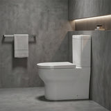 Pola Ceramic Box Rim Back To Wall Toilet Suite Back/Left and Right Bottom Inlet 675x395x840mm - Gloss White