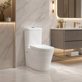 Kasey Box Rim Back To Wall Toilet Suite Back/Left & Right Bottom Inlet 695x390x830mm - Gloss White