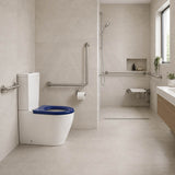 Ambulant Toilet Suite Box Rim Back To Wall Back/Left and Right Bottom Inlet 660x395x905mm - Gloss White