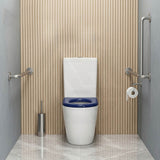 Ambulant Toilet Suite Box Rim Back To Wall Back/Left and Right Bottom Inlet 660x395x905mm - Gloss White