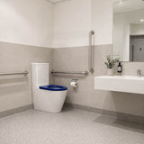 Ambulant Toilet Suite Box Rim Back To Wall Back/Left and Right Bottom Inlet 660x395x905mm - Gloss White