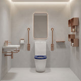 Ambulant Toilet Suite Box Rim Back To Wall Back/Left and Right Bottom Inlet 660x395x905mm - Gloss White