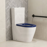 Ambulant Toilet Suite Box Rim Back To Wall Back/Left and Right Bottom Inlet 660x395x905mm - Gloss White
