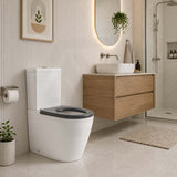 Ambulant Toilet Suite Box Rim Back To Wall Back/Left and Right Bottom Inlet 660x395x905mm - Gloss White