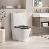 Ambulant Toilet Suite Box Rim Back To Wall Back/Left and Right Bottom Inlet 660x395x905mm - Gloss White