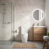 Ambulant Toilet Suite Box Rim Back To Wall Back/Left and Right Bottom Inlet 660x395x905mm - Gloss White