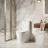 Back to Wall Toilet Suite Box Rim 660x395x905mm - Gloss White