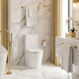 Avis Rimless Back To Wall Toilet Suite Back/Left and Right Bottom Inlet Cistern 655x385x870mm - Matt White