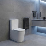 Avis Rimless Back To Wall Toilet Suite Back/Left and Right Bottom Inlet Cistern 655x385x870mm - Matt White