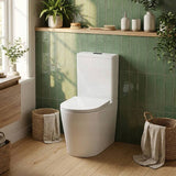 Avis Rimless Back To Wall Toilet Suite Back/Left and Right Bottom Inlet Cistern 655x385x870mm - Matt White