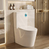 Avis Rimless Back To Wall Toilet Suite Back/Left and Right Bottom Inlet Cistern 655x385x870mm - Matt White
