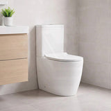 Veda Tornado Ceramic Back To Wall Toilet Suite Back/Left and Right Bottom Inlet 630x380x835mm - Variant Colour
