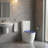 Elvera Tornado Ambulant Toilet Suite Ceramic Back To Wall Back/Left and Right Bottom Inlet 660x390x885mm - Gloss White