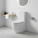 Elvera Tornado Ambulant Toilet Suite Ceramic Back To Wall Back/Left and Right Bottom Inlet 660x390x885mm - Gloss White