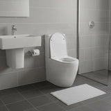 Elvera Tornado Ambulant Toilet Suite Ceramic Back To Wall Back/Left and Right Bottom Inlet 660x390x885mm - Gloss White