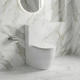 Elvera Tornado Ambulant Toilet Suite Ceramic Back To Wall Back/Left and Right Bottom Inlet 660x390x885mm - Gloss White